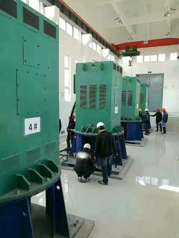 岭东某污水处理厂使用我厂的立式高压电机安装现场